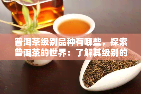 普洱茶级别品种有哪些，探索普洱茶的世界：了解其级别的品种