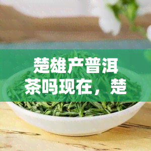 楚雄产普洱茶吗现在，楚雄现是否产普洱茶？探究产地及其品质