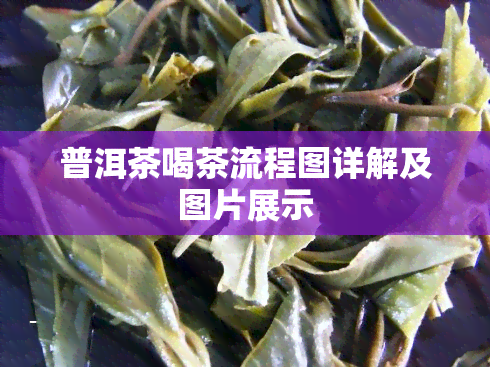 普洱茶喝茶流程图详解及图片展示