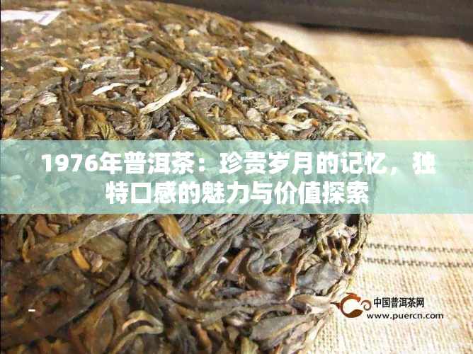 1976年普洱茶：珍贵岁月的记忆，独特口感的魅力与价值探索