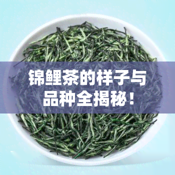 锦鲤茶的样子与品种全揭秘！