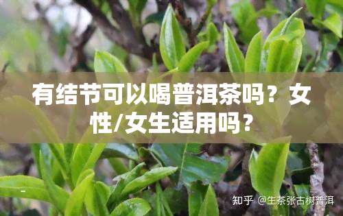 有结节可以喝普洱茶吗？女性/女生适用吗？