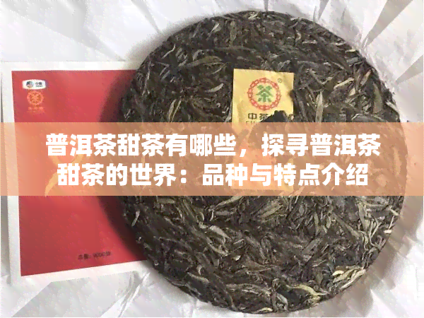 普洱茶甜茶有哪些，探寻普洱茶甜茶的世界：品种与特点介绍