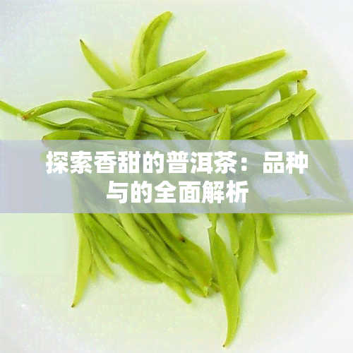 探索香甜的普洱茶：品种与的全面解析