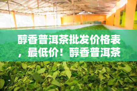 醇香普洱茶批发价格表，更低价！醇香普洱茶批发价格表全面解析