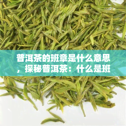 普洱茶的班章是什么意思，探秘普洱茶：什么是班章？