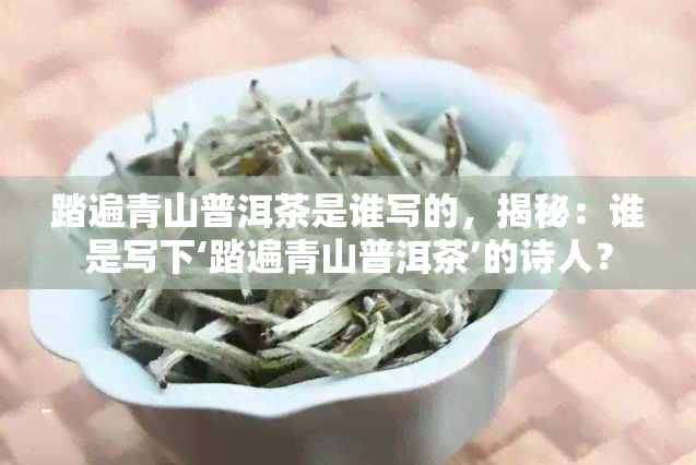 踏遍青山普洱茶是谁写的，揭秘：谁是写下‘踏遍青山普洱茶’的诗人？