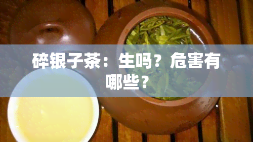 碎银子茶：生吗？危害有哪些？