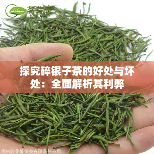 探究碎银子茶的好处与坏处：全面解析其利弊