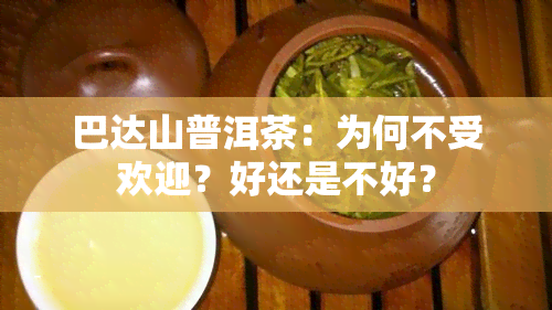 巴达山普洱茶：为何不受欢迎？好还是不好？