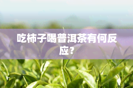 吃柿子喝普洱茶有何反应？