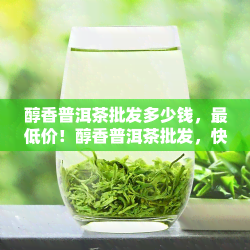 醇香普洱茶批发多少钱，更低价！醇香普洱茶批发，快来选购！