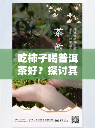 吃柿子喝普洱茶好？探讨其健效益与搭配建议