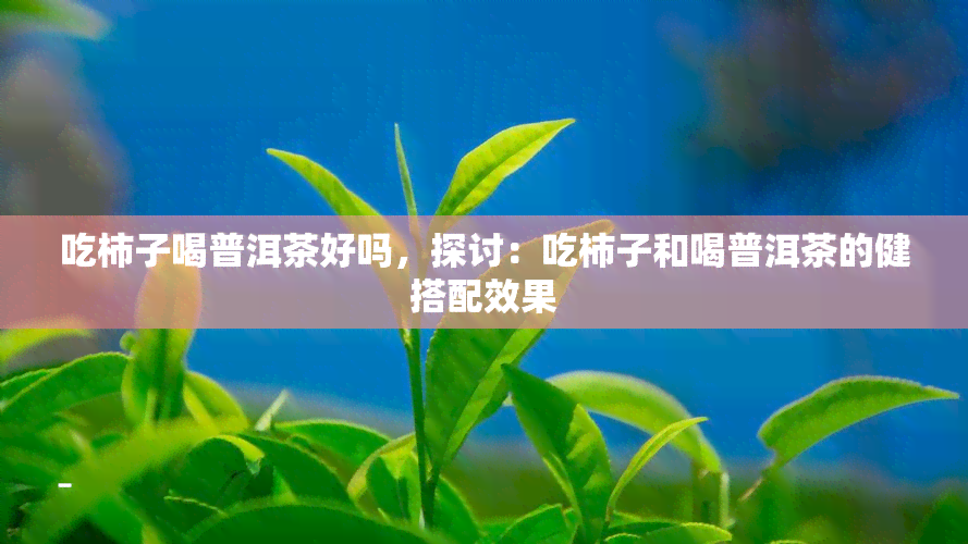 吃柿子喝普洱茶好吗，探讨：吃柿子和喝普洱茶的健搭配效果