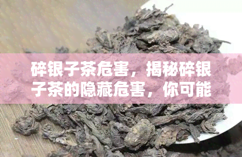 碎银子茶危害，揭秘碎银子茶的隐藏危害，你可能需要知道的事情