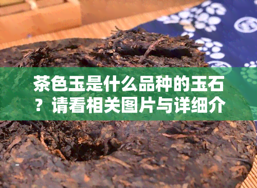 茶色玉是什么品种的玉石？请看相关图片与详细介绍