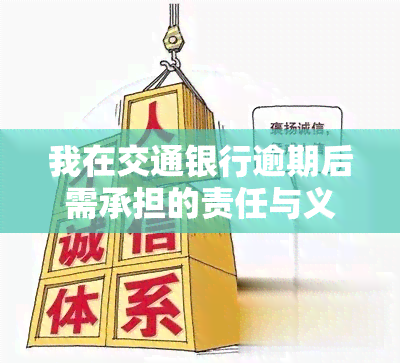 我在交通银行逾期后需承担的责任与义务是什么？