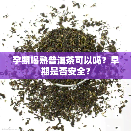 孕期喝熟普洱茶可以吗？早期是否安全？