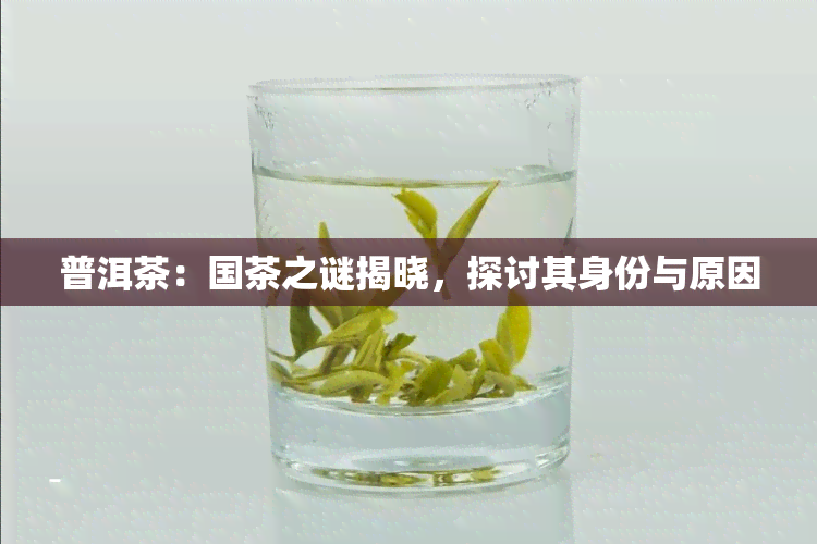 普洱茶：国茶之谜揭晓，探讨其身份与原因