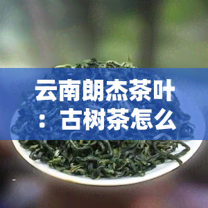 云南朗杰茶叶：古树茶怎么样？