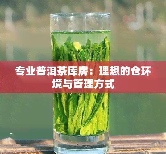 专业普洱茶库房：理想的仓环境与管理方式