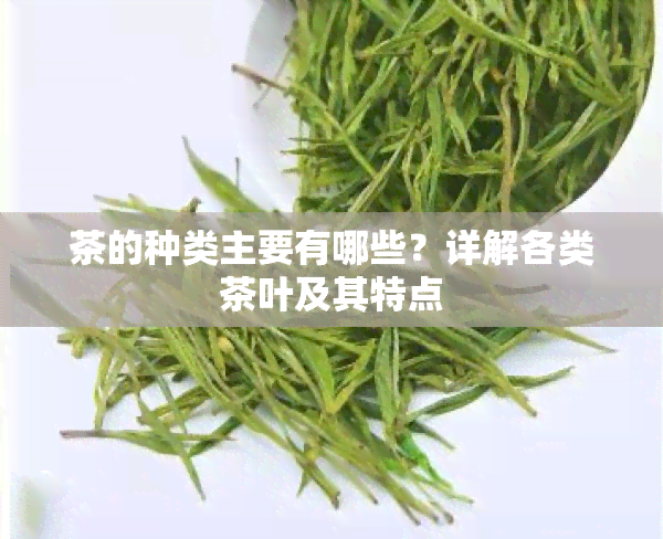 茶的种类主要有哪些？详解各类茶叶及其特点