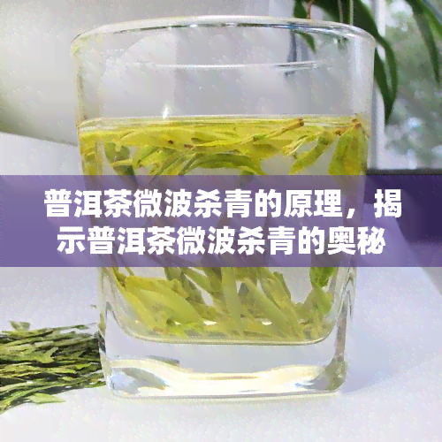 普洱茶微波杀青的原理，揭示普洱茶微波杀青的奥秘：理解其工作原理