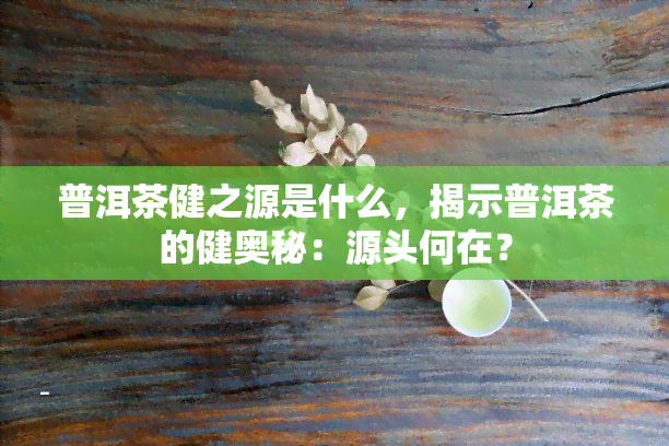 普洱茶健之源是什么，揭示普洱茶的健奥秘：源头何在？