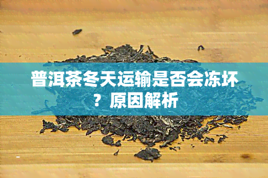 普洱茶冬天运输是否会冻坏？原因解析