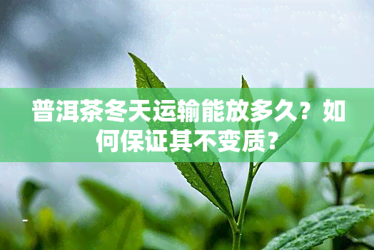 普洱茶冬天运输能放多久？如何保证其不变质？