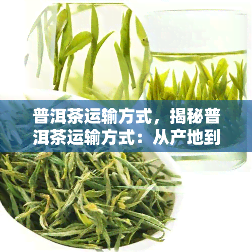 普洱茶运输方式，揭秘普洱茶运输方式：从产地到市场的全程解析