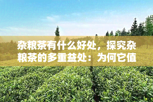 杂粮茶有什么好处，探究杂粮茶的多重益处：为何它值得你尝试？