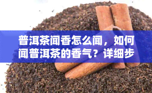 普洱茶闻香怎么闻，如何闻普洱茶的香气？详细步骤解析