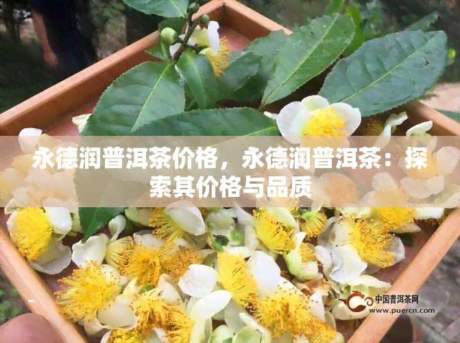 永德润普洱茶价格，永德润普洱茶：探索其价格与品质