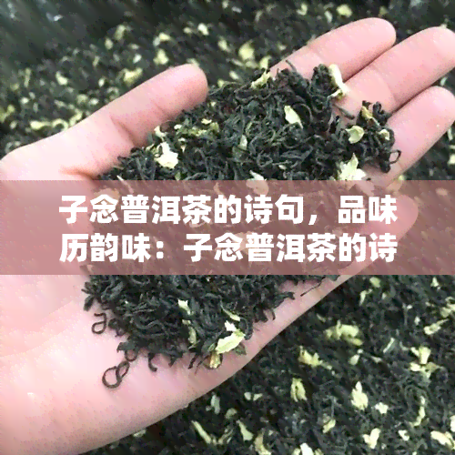 子念普洱茶的诗句，品味历韵味：子念普洱茶的诗句欣