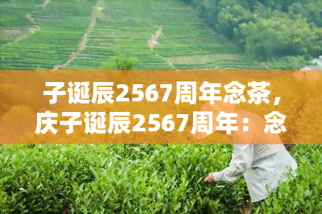 子诞辰2567周年念茶，庆子诞辰2567周年：念茶的独特献礼