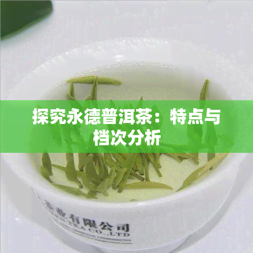 探究永德普洱茶：特点与档次分析