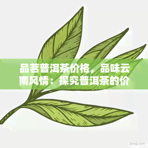 品茗普洱茶价格，品味云南风情：探究普洱茶的价格与品质