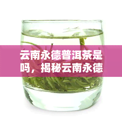 云南永德普洱茶是吗，揭秘云南永德普洱茶：它是否真的是一款知名？