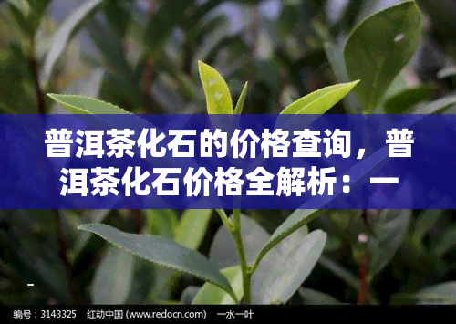 普洱茶化石的价格查询，普洱茶化石价格全解析：一份详尽的市场价格参考指南