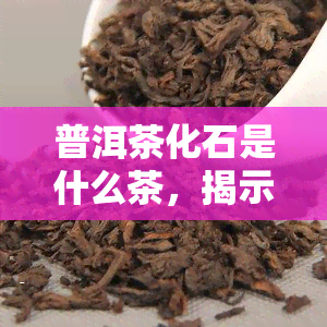 普洱茶化石是什么茶，揭示神秘的普洱茶化石：它到底是一种什么样的茶？