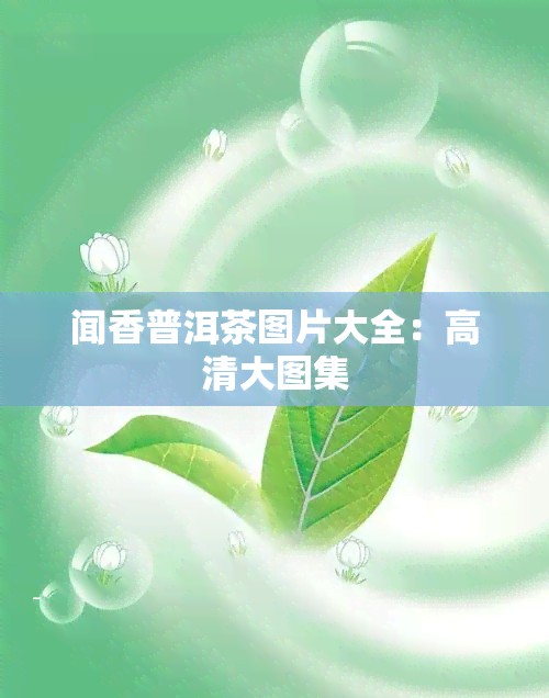 闻香普洱茶图片大全：高清大图集