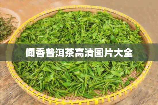 闻香普洱茶高清图片大全