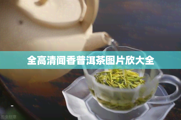 全高清闻香普洱茶图片欣大全