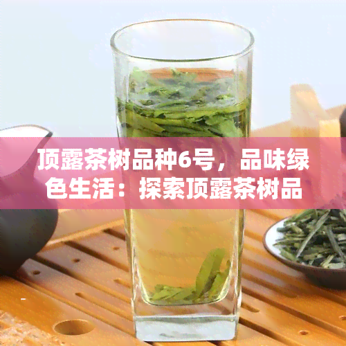 顶露茶树品种6号，品味绿色生活：探索顶露茶树品种6号的魅力