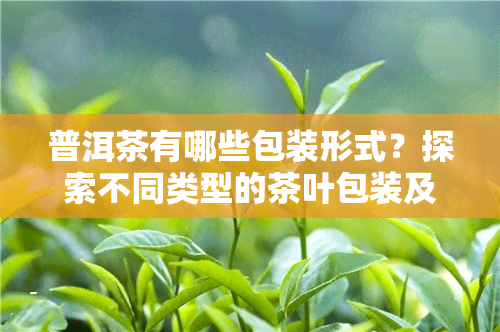 普洱茶有哪些包装形式？探索不同类型的茶叶包装及图片展示