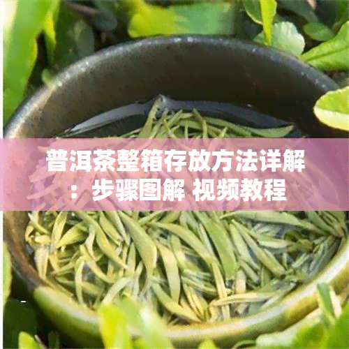 普洱茶整箱存放方法详解：步骤图解 视频教程