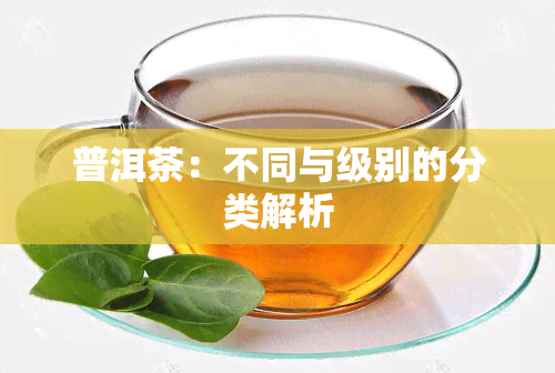 普洱茶：不同与级别的分类解析