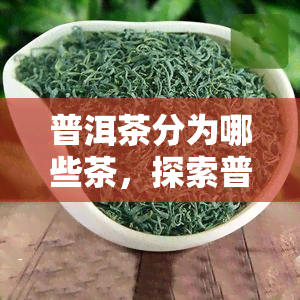 普洱茶分为哪些茶，探索普洱茶的世界：深入了解其不同种类和分类