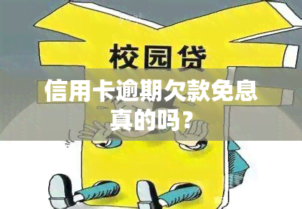 信用卡逾期欠款免息真的吗？